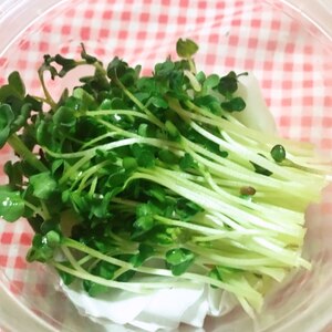貝割れ大根の保存方法 レシピ 作り方 By じゃが塩 楽天レシピ 貝割れ大根の保存方法 レシピ 作り方 By じゃが塩 楽天レシピ